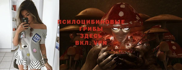 Альфа ПВП Михайлов