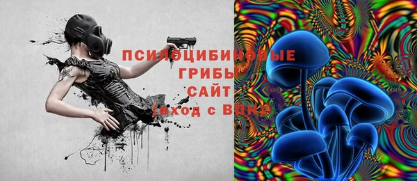 спиды Михайловка