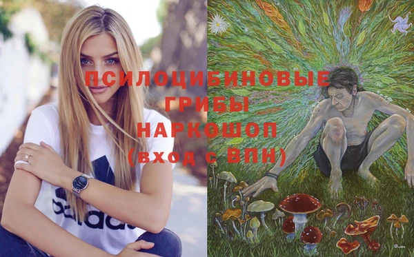 Альфа ПВП Михайлов