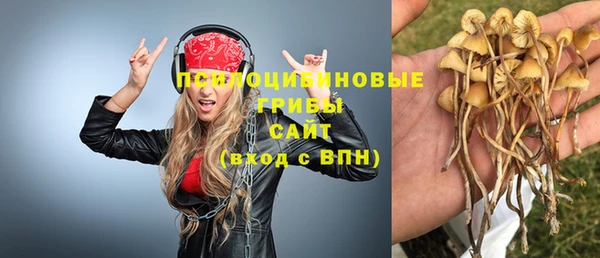 спиды Михайловка