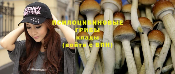 Альфа ПВП Михайлов