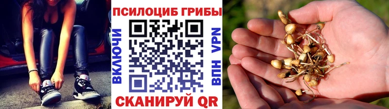 Псилоцибиновые грибы Magic Shrooms  где купить наркоту  Апрелевка 