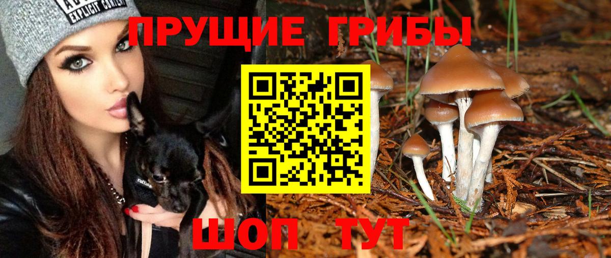 Галлюциногенные грибы мухоморы  Апрелевка 